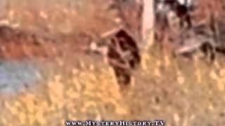 Bigfoot Found In Hutchinson Kansas [upl. by Jac472]