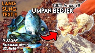 Awal mula cara membuat umpan segala jenis ikan  Baronang kiper amp belanak 100 ampuh [upl. by Burdelle]