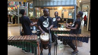 Friendly Drummers  Emcimbini by Kabza de Small Marimba Cover Version [upl. by Sothena]