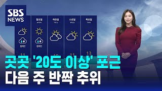 날씨 곳곳 20도 이상 포근…다음 주 반짝 추위  SBS [upl. by Niltiac176]