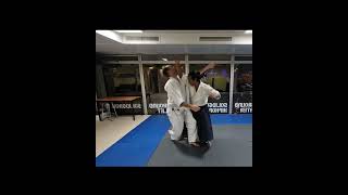 Aikido  Irimi kokyu nage shita [upl. by Hatfield]