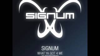 Signum  What Ya Got 4 Me Original Vocal Mix [upl. by Arbuckle685]