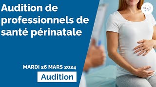 Audition de professionnels de santé périnatale [upl. by Itsa]