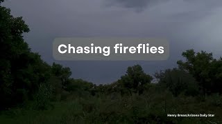 Researchers tracking rare Southern Arizona fireflies [upl. by Levy482]