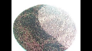 How To Harvest Amaranth Seed For Food Tutorial [upl. by Lledor]