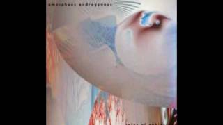 Liquid Insects  Amorphous Androgynous Future Sound of London [upl. by Luahs660]