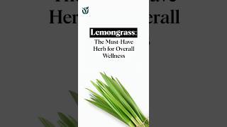 3 Shocking Ways Lemongrass Can Change Your Life [upl. by Muire]