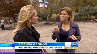 Amanda Gagnon ABC News Good Morning America [upl. by Neil254]