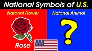 10 National Symbols of United States ✔️ [upl. by Eiramit]