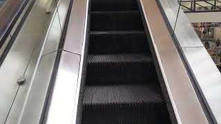 ORIGINAL 1983 Westinghouse SingleFile Escalators at Deerbrook Mall over by Former Sears Humble TX [upl. by Mitzi]