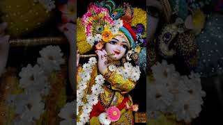 Krishna radheradhe vrindavan shortfeed youtubeshorts [upl. by Sherr]