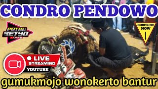 CONDRO PENDOWO live GUMUKMOJO WONOKERTO BANTUR [upl. by Atined]