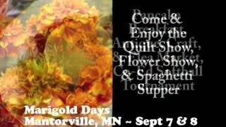 Mantorville Minnesotas Marigold Days on Our Storys Festival Fanatics  152 [upl. by Alaj866]