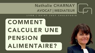 Comment calculer le montant d’une pension alimentaire [upl. by Suiramed]