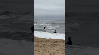 How Pro Skimboarding is Getting Crazy thewedge newportbeach skimboarding [upl. by Sparhawk]