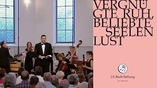 JS Bach  Aria quotWie jammern mich doch die verkehrten Herzenquot from Cantata BWV 170 [upl. by Euginom]