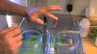 MAKE DISTILLED WATER ALKALINE  WITHOUT ELECTROLYTE  IN 15 MIN  PART 1 [upl. by Ecienaj]