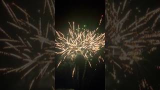 WICKED COOL FIREWORK 49 SHOTS [upl. by Moran]