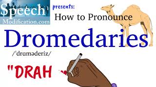 How to Pronounce Dromedaries [upl. by Orpha]