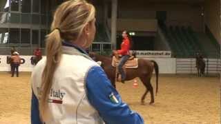 Interviews with Western Horsemanship clinicians [upl. by Oicirbaf]