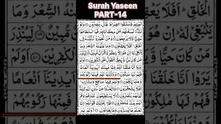 Surah Yaseen Part14  Heart Touching Quranic Verses ❤️ surahyaseen quran recitation yaseen [upl. by Nani]