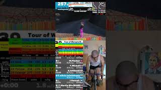 Zwift Cycling Workout Short 16102023 zs zwift cycling indoor trainer roadbike mtb cardio [upl. by Etakyram]