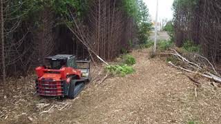 Hydro Line Clearing at Farm Site Kubota Style [upl. by Natalie512]