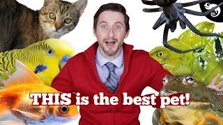 The Best Pet REVEALED [upl. by Shari]