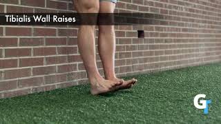 Tibialis Wall Raises Exercise Demo [upl. by Sell]