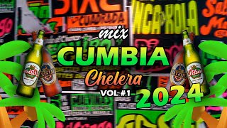 MIX MI MUNDO SIN ELLA WALTER LOZADA  ARMONIA 10 MIX CUMBIA SACA LAS CHELAS 2024  DJ CARSO [upl. by Esoranna659]