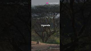 009195 exploring Uganda facts knowledge africa shorts [upl. by Dag8]