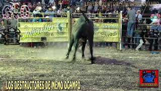 ARRASA TODO CON MUNIECO DE PATZCUARO EN CHARCO LARGO GUANAJUATO 2019 [upl. by Miguel]