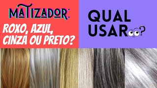 Qual matizador usar em cabelos grisalhos Preto cinza roxo ou azul [upl. by Aehsrop]