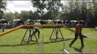 HundeAgility Turnier [upl. by Anirpas936]