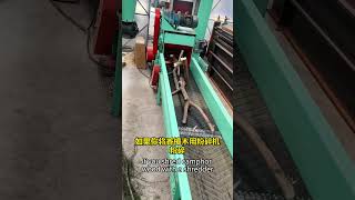 Camphor wood as particles fragrance overflowing machine woodworking woodprocessing copper [upl. by Savinirs]