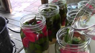 Pickled Peppers Pressure Canner [upl. by Nahn195]