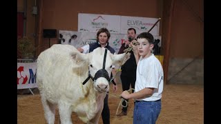 Salon Tous Paysans 2024  Le concours Charolais [upl. by Enelyad]