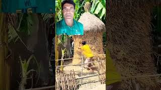 This Guy is Tricking that Guy  AA2B Fact  😆 shorts trending funny foryou youtubeshorts [upl. by Namra]