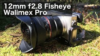 Walimex Pro 12mm f28 Fisheye  Review Deutsch [upl. by Torrence]