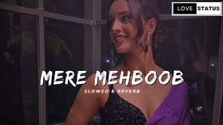 Mere Mehboob  Lofi Slowed Reverb   vicky vidya ka woh wala video [upl. by Acila646]