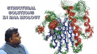 How does the Nuclear Magnetic Resonance NMR Lab solve protein structures [upl. by Alrak]