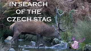 IN SEARCH OF THE CZECH STAG [upl. by Maggie]