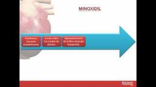 Tema 26 FARMACOLOGÍA CARDIOVASCULAR Fármacos indicados para la Hipertensión Arterial [upl. by Akram343]