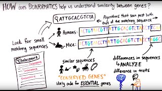 What is Bioinformatics [upl. by Osnola]