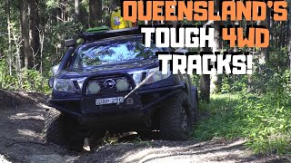 KENILWORTHIMBIL STATE FOREST 4WD TRIP 2019 [upl. by Yelnoc]