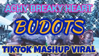 ACHY BREAKY HEART  TikTok Mashup  Budots Dance Remix [upl. by Radke]