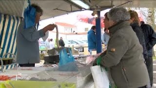 Le retour du marché du Fenouiller Vendée [upl. by Redmer]