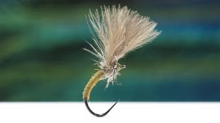 Magic Catgut CDC Emerger  How to Tie It [upl. by Surat873]