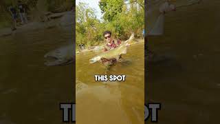 Always Do This While Fishing PART 2 [upl. by Jimmy]