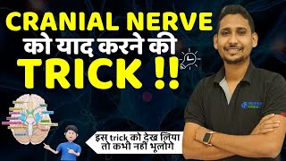 cranial nerve tricks  mnemonic for cranial nerves  cranial nerve learning tricks  anatomy [upl. by Ahtenek]